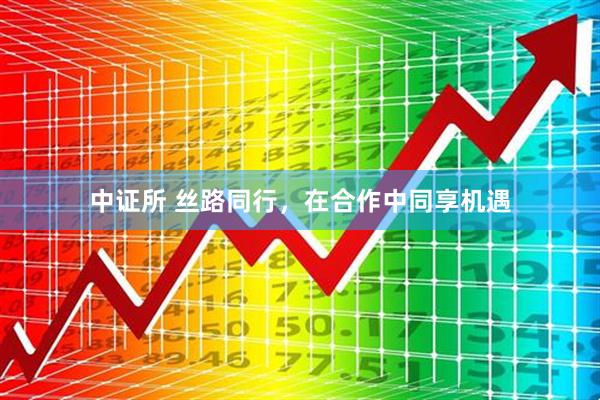中证所 丝路同行，在合作中同享机遇