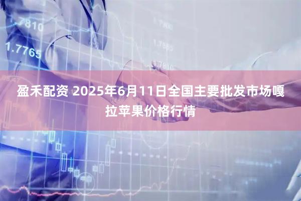 盈禾配资 2025年6月11日全国主要批发市场嘎拉苹果价格行情