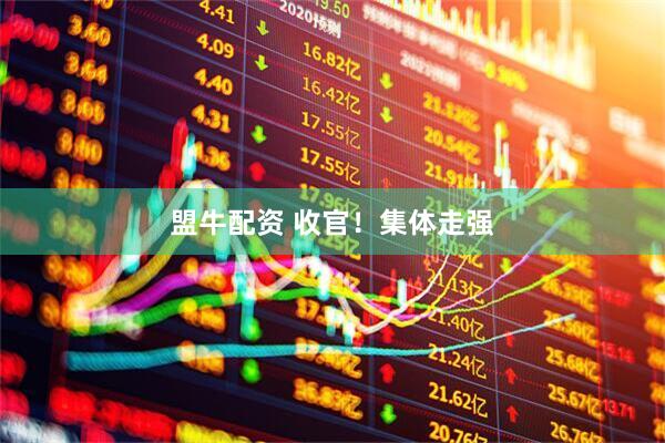 盟牛配资 收官！集体走强
