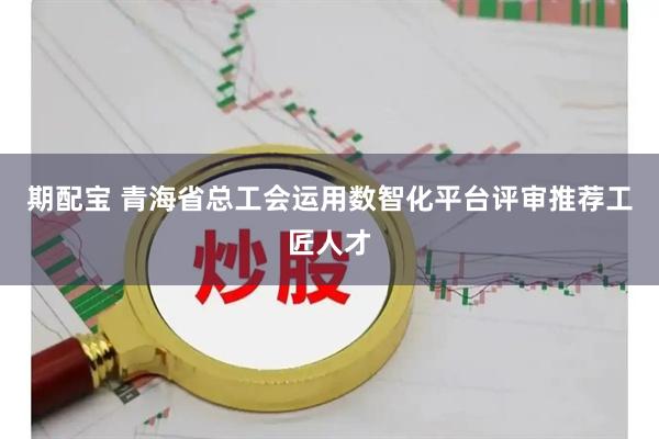 期配宝 青海省总工会运用数智化平台评审推荐工匠人才